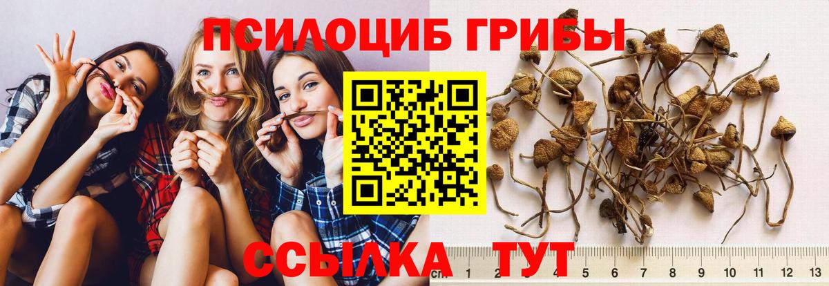 Галлюциногенные грибы GOLDEN TEACHER Красногорск