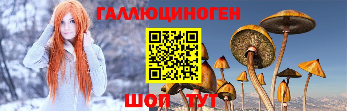Галлюциногенные грибы мицелий  Галлюциногенные грибы мухоморы  Красногорск  Вход с VPN 